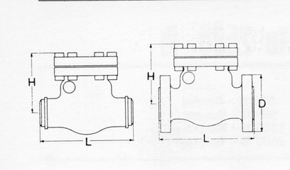 checkvalve3